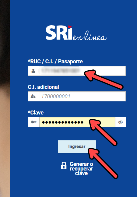 Formulario de ingreso con RUC y Clave