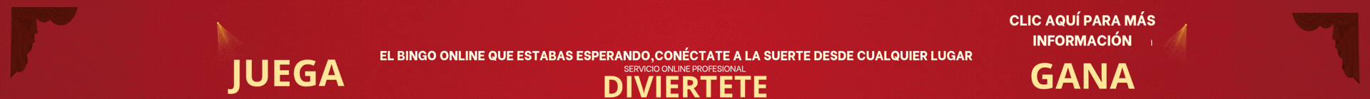 Bingo Online Profesional